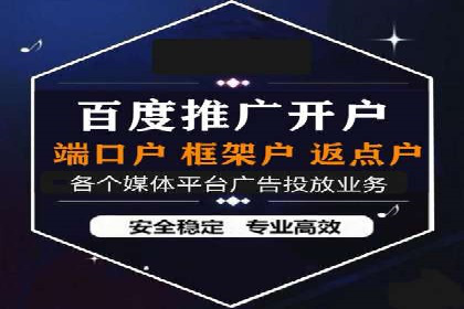 专业SEM服务托管方案案例分析
